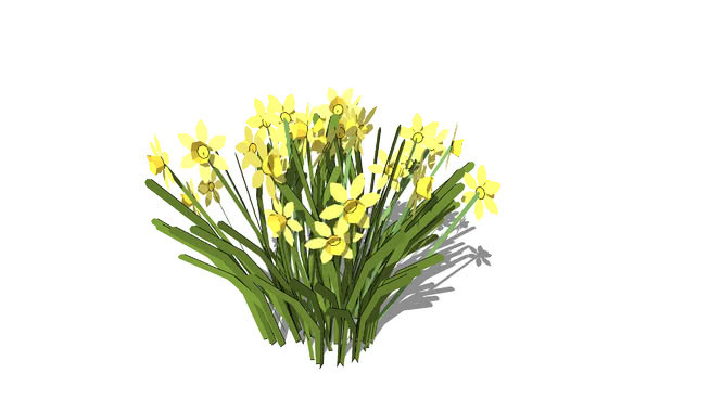 “水仙”的对话 植物 花 其他 画 花瓶