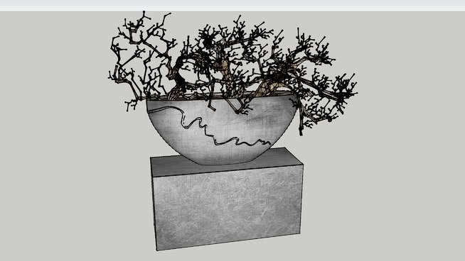 装饰植物 其他 画 相框
