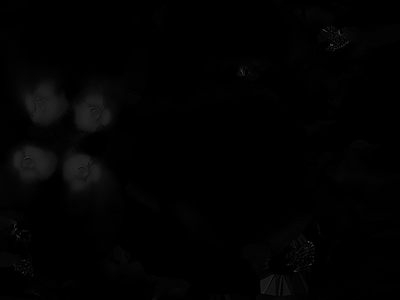 高光