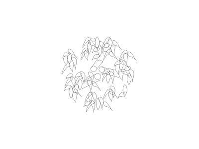 常用植物图例 粉单竹