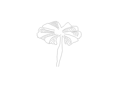花 植物图例