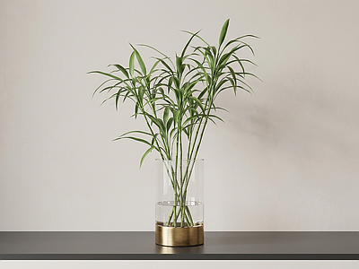 艺术绿植竹子