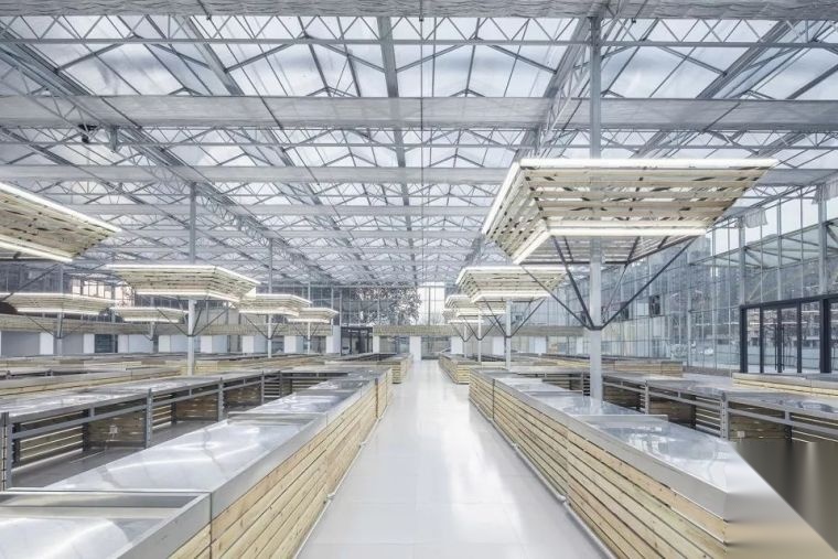 办公建筑应对“新型冠状病毒”应急措施指南
