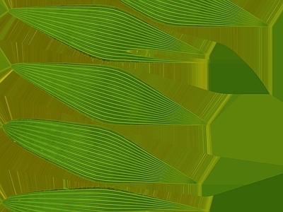 绿植墙