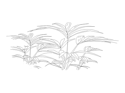 地被种植 植物图例