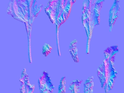 其他法线