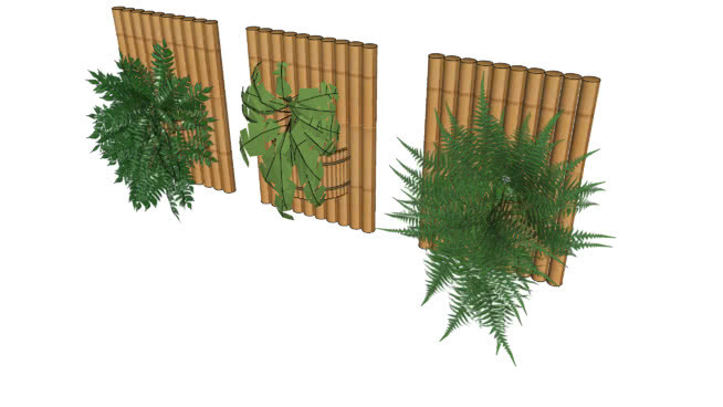 竹50x35cm框架 其他 室外 画 植物 饰品