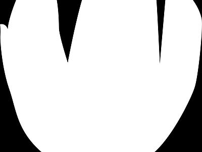 高光