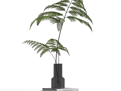 书籍植物装饰组合