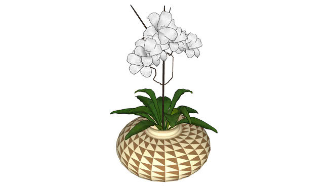 花盆 其他 水果 菠萝 草莓