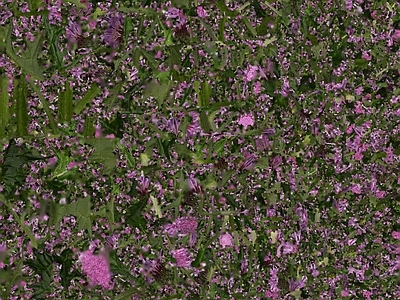 绿植墙
