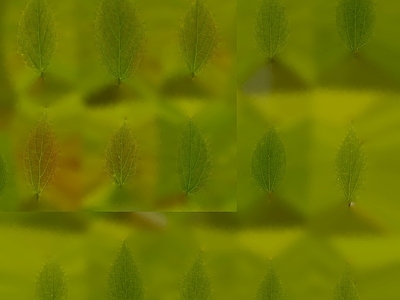 绿植墙