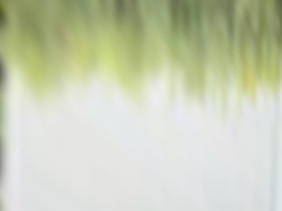 绿植墙
