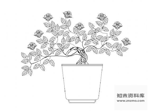 图块/节点盆景植物图块集