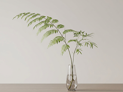艺术绿植草本植物