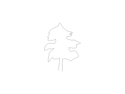 乔木种植 园林常见植物品种图例及说明