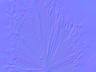其他法线