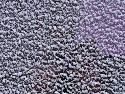 地面-雪地
