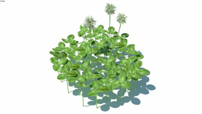草，高聚合，VRY准备（090） 其他 植物 饰品 花 钱