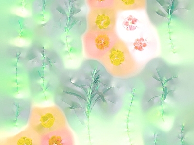 绿植墙