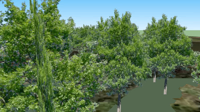 Trees at Indian Ridge Park 湖 小河 树林 谷