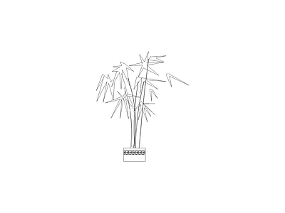 绿植 植物立面