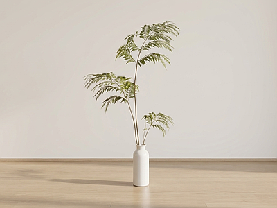 小型艺术绿植草本植物