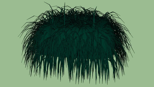 grass 其他 烟花 羽毛笔 家居物品