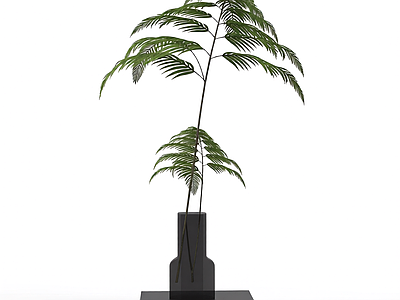 带盆绿植装饰