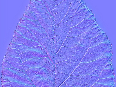 其他法线