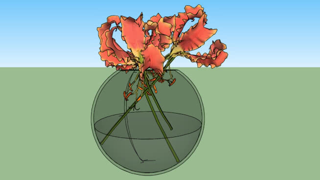 花 其他 谷仓蜘蛛 蜻蜓 花园蜘蛛 蜱虫