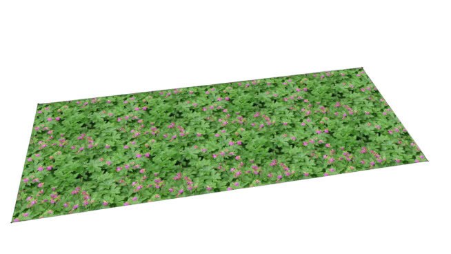 孵化模式——地被植物——春花老鹳草 其他 粉笔 抹布 棉花 橡皮擦