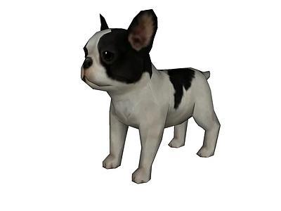 dog3004