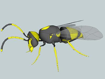 yellowjacket