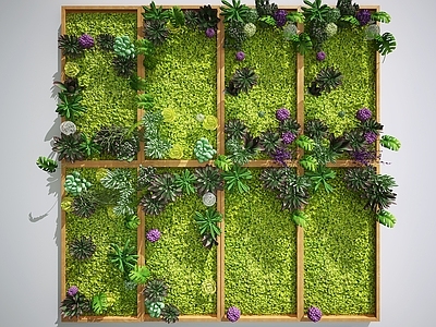 北欧植物墙  绿植墙景观  墙花卉