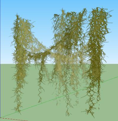 藤本植物模型