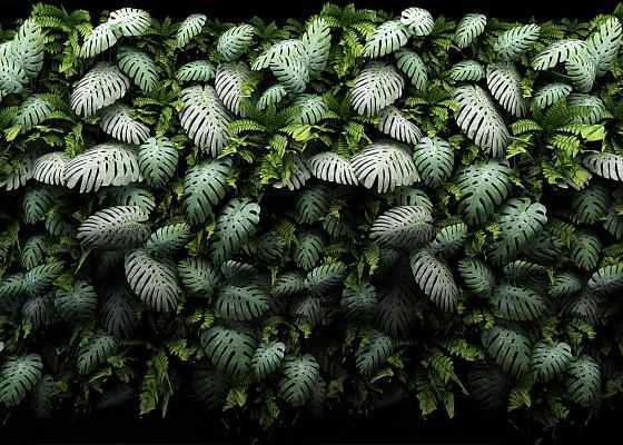 绿植墙 植物墙 墙