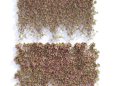 现代植物墙爬藤藤蔓绿植墙