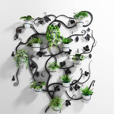 现代植物盆栽