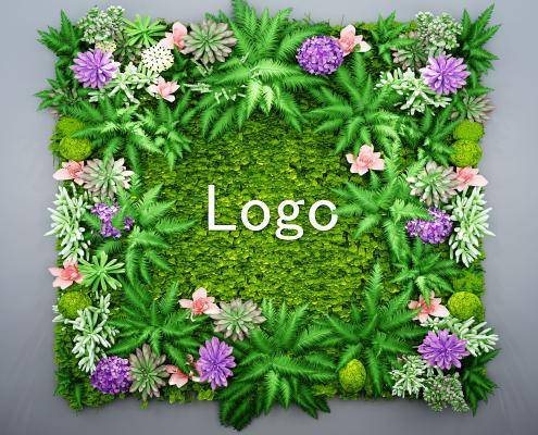 北欧前台 办公室 形象植物墙