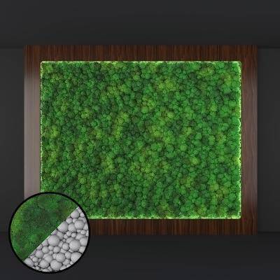 现代绿植墙wall dimensions 3.0х3.6м