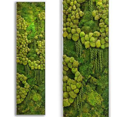 植物墙苔藓墙绿植墙