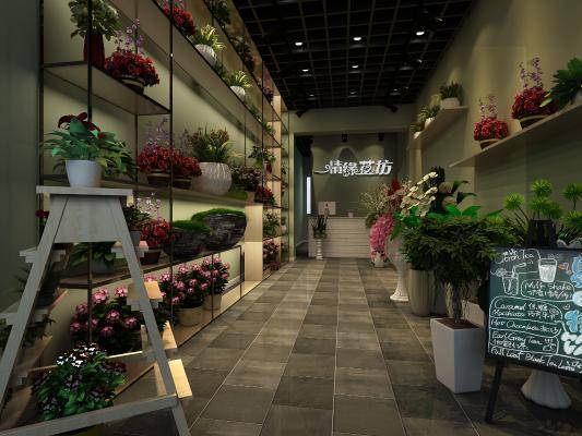 现代花店 花架