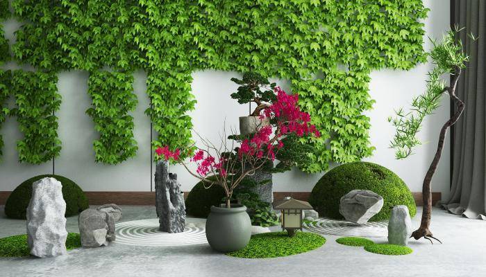 现代园林石头攀爬植物景观小品组合