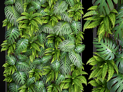 现代绿植墙