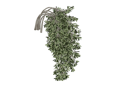 垂枝绿植模型