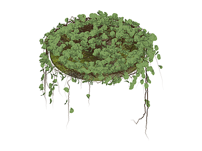 悬挂绿植藤蔓组件
