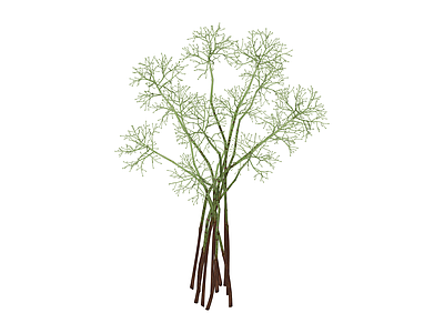 干枝植物花艺组合