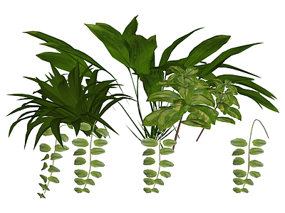 室内绿植组合盆栽