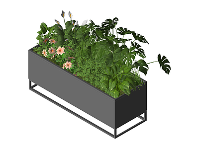 现代金属花箱盆栽